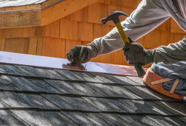 Best Roof Moss and Algae Removal  in Sheffield, IA