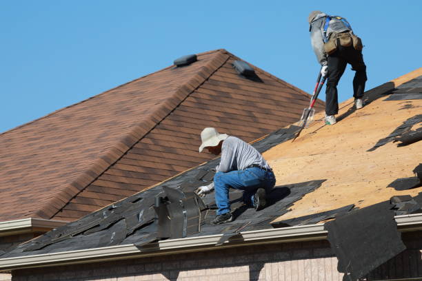 Best Skylight Installation and Repair  in Sheffield, IA