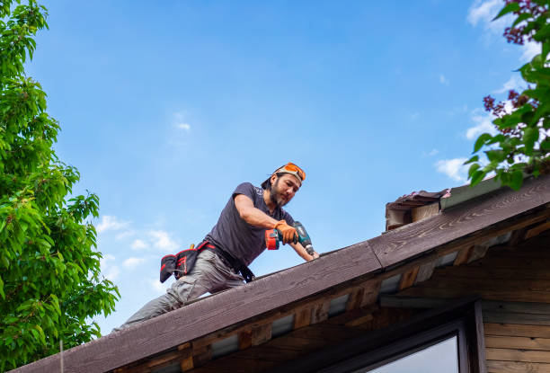 Best Roof Insulation Installation  in Sheffield, IA