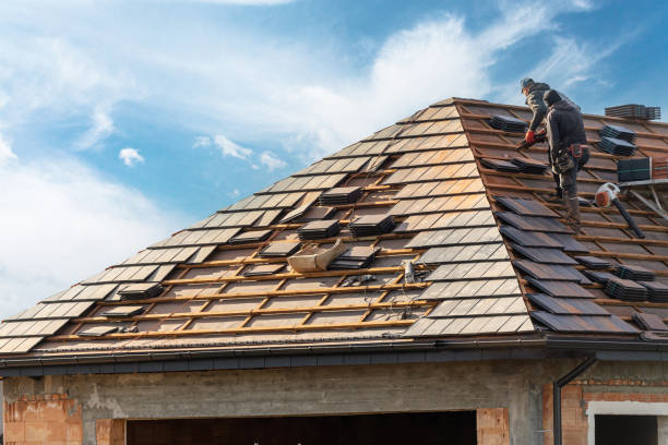 Best Roof Ventilation Installation  in Sheffield, IA