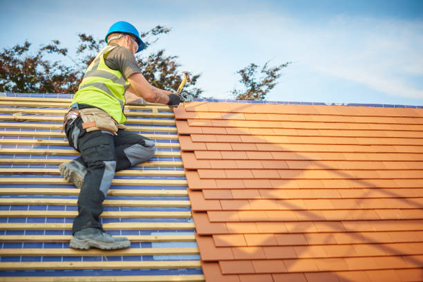 Best Roof Maintenance and Cleaning  in Sheffield, IA